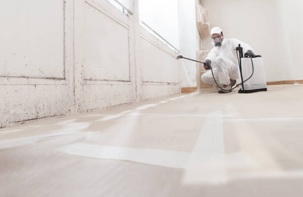 24/7 Emergency Mold Inspection experts in Vincentown, NJ