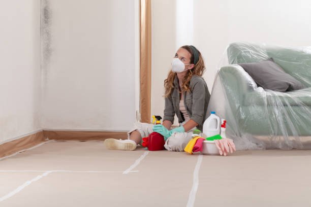 Reliable Mold Inspection contractor in Vincentown, NJ by WQB Mold Removal